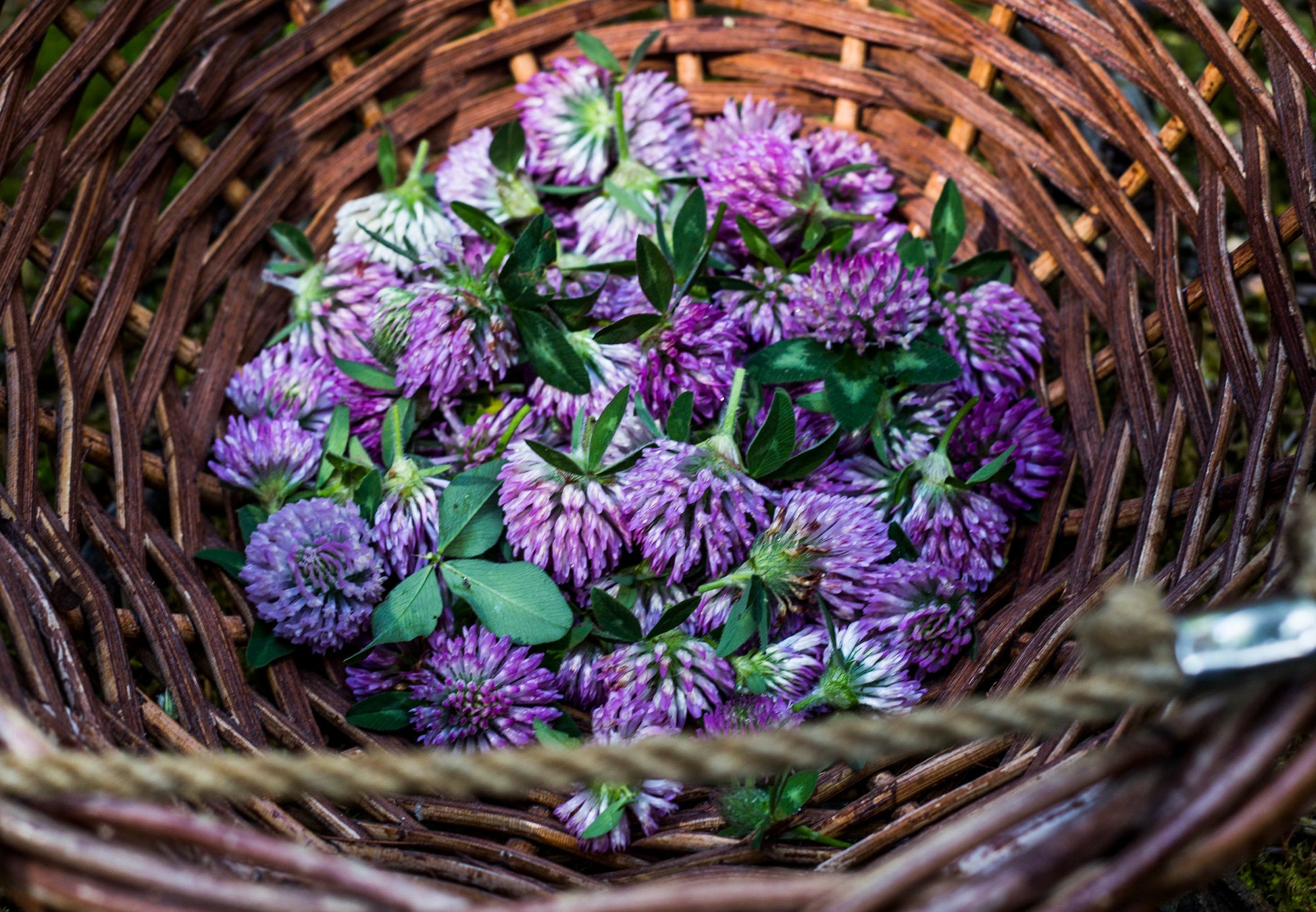 Purple flowers in a woven basket