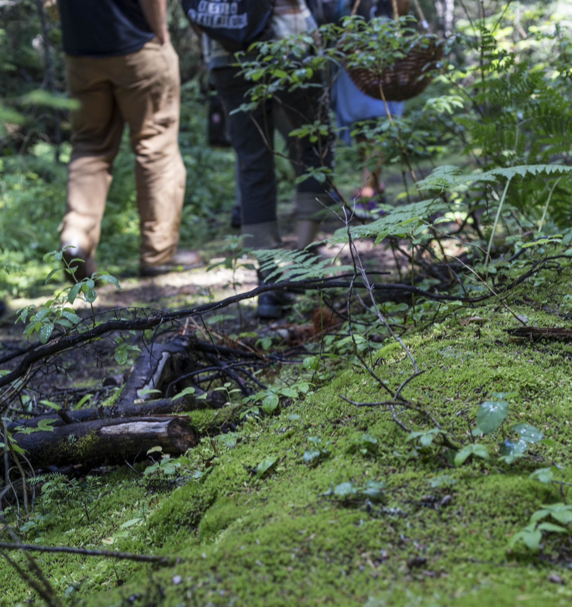 walking in the woods at heather mountain lodge