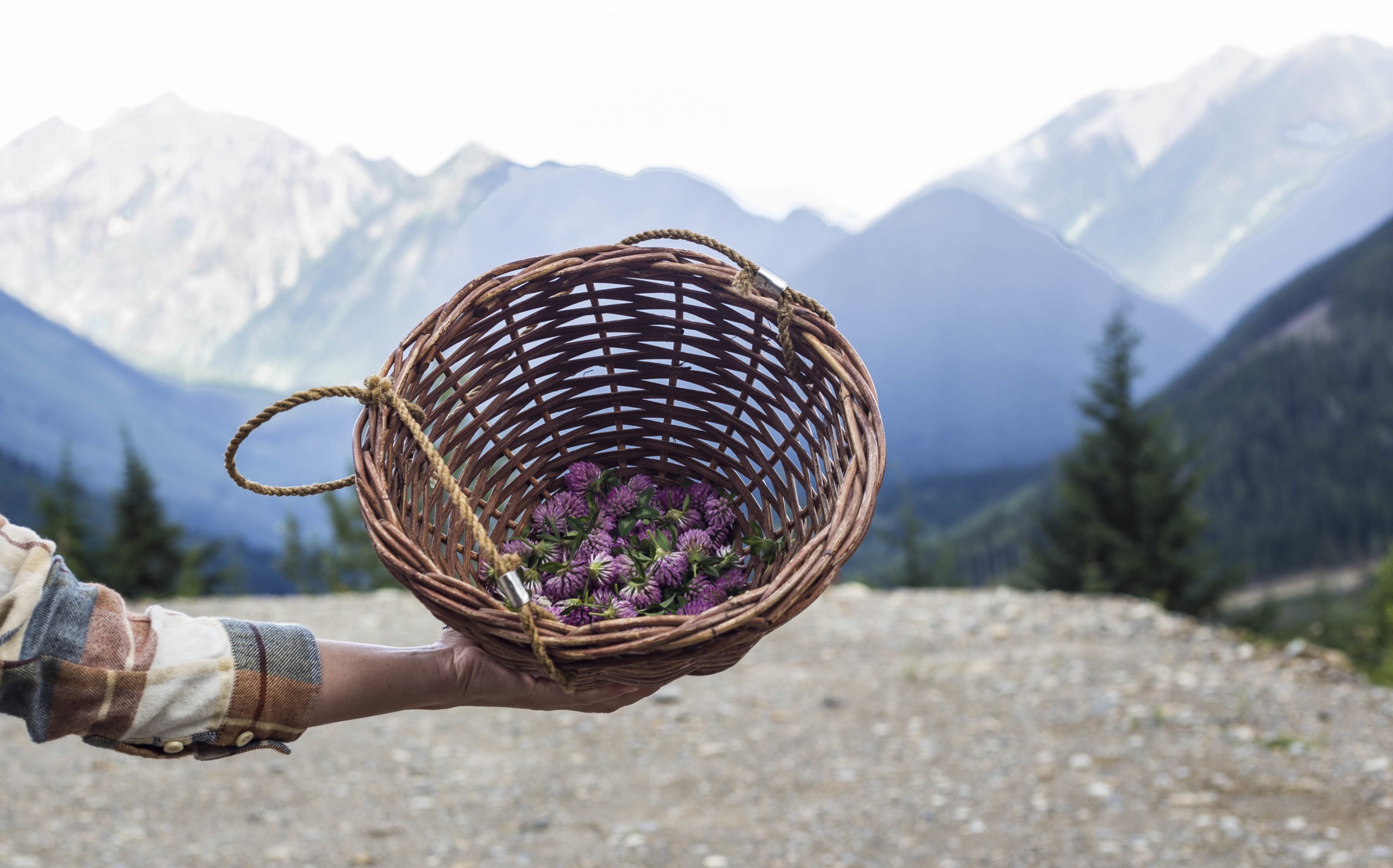basket of foraged flowers and mountains