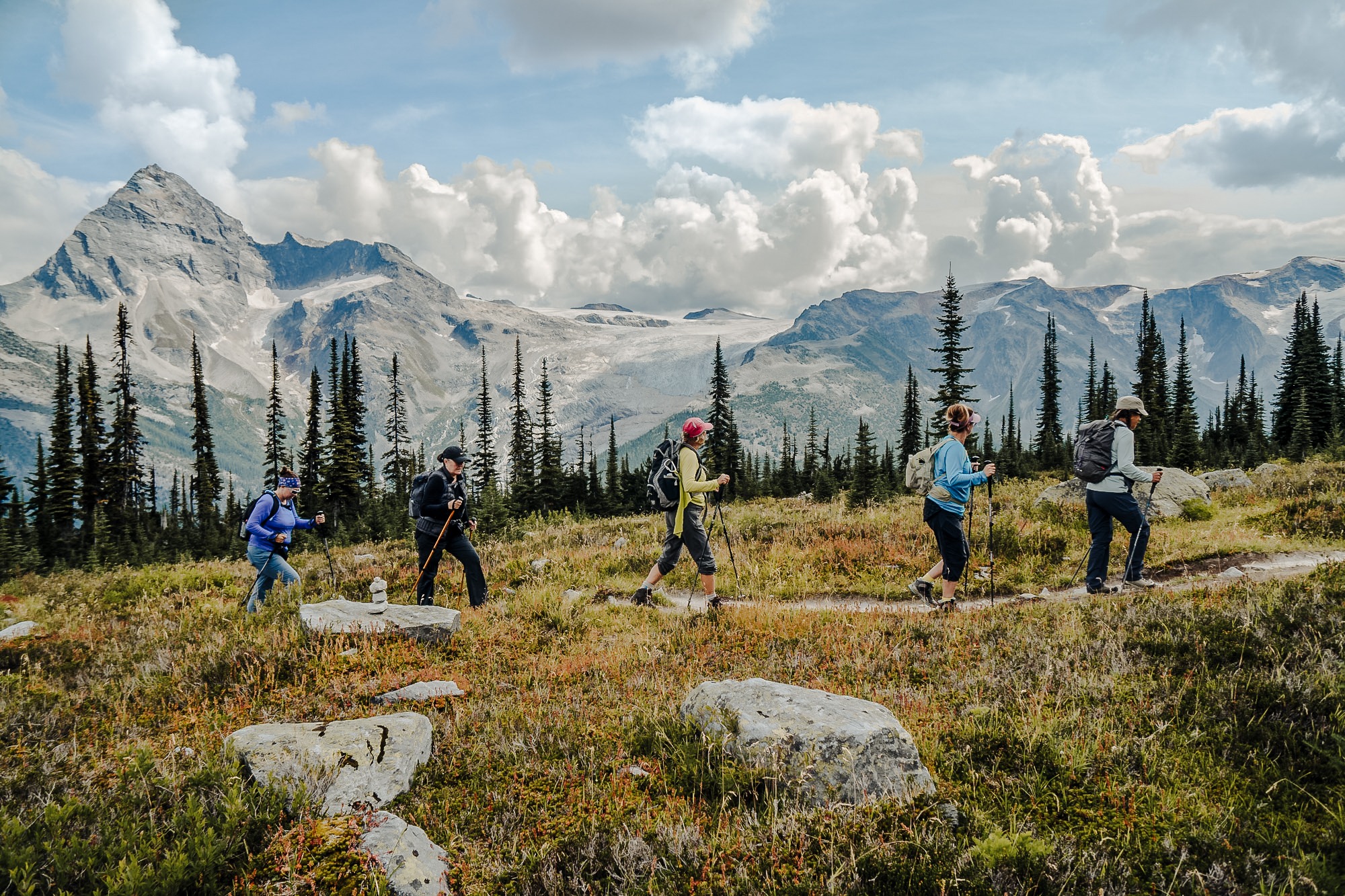 corporate retreat group hiking through an alpine meadow